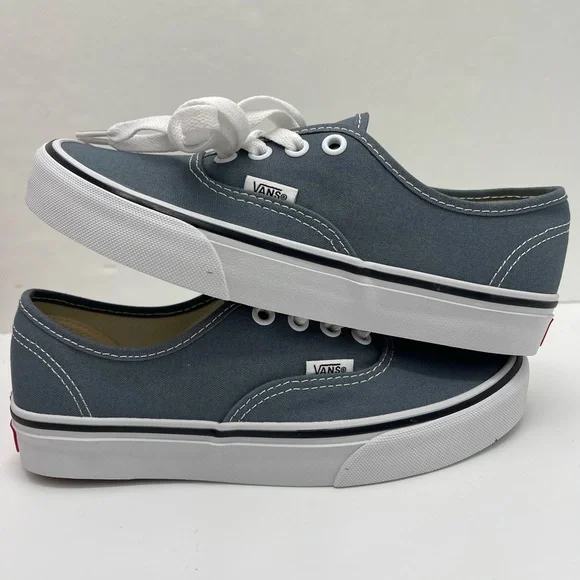 Vans Men’s Authentic Color Theory Stormy WeatherVN000EGARV2 Sneakers